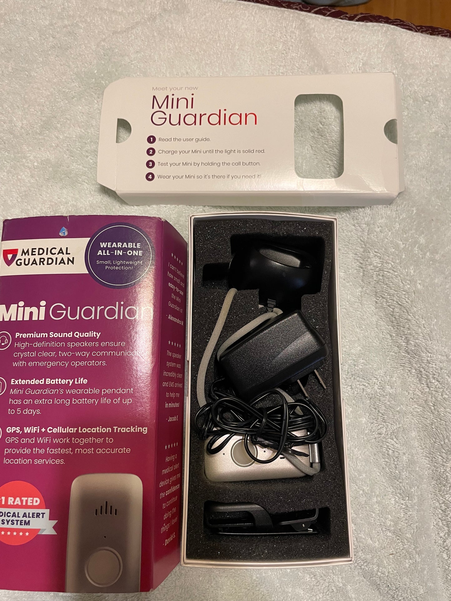 Mini Guardian
