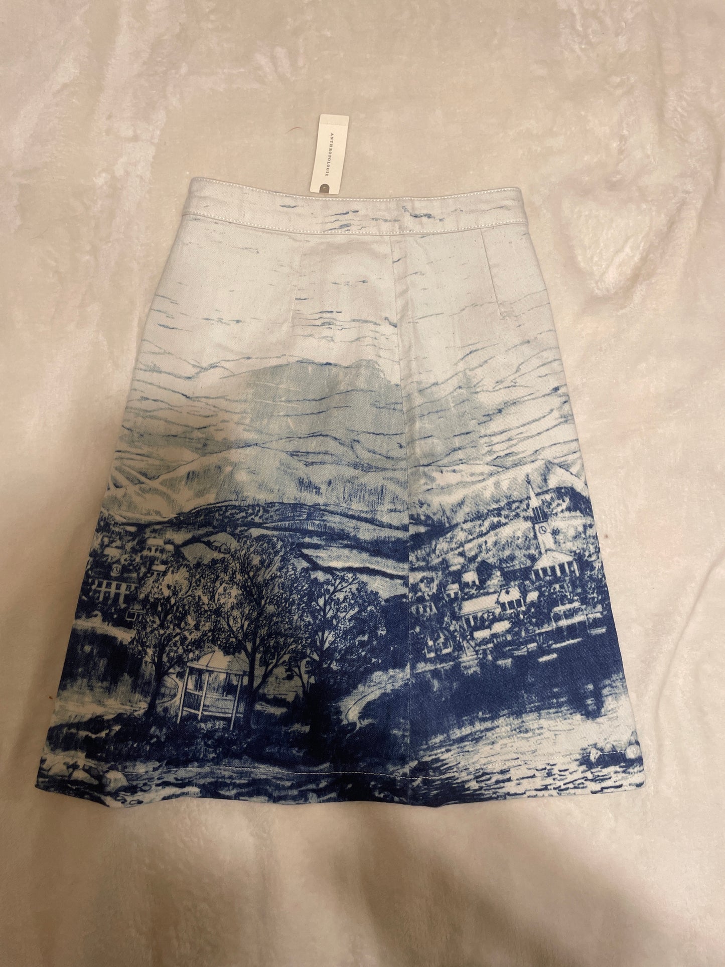 Anthropologie Landscape Cotton Skirt