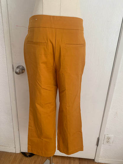 NWT Ann Taylor factory capri pants size 2